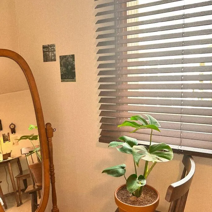 公寓 Anri Forest Stay #5People#Rooftop#Laundry 韩国