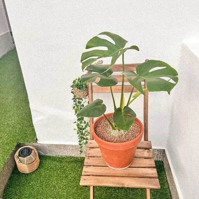 Anri Forest Stay #5People#Rooftop#Laundry 韩国