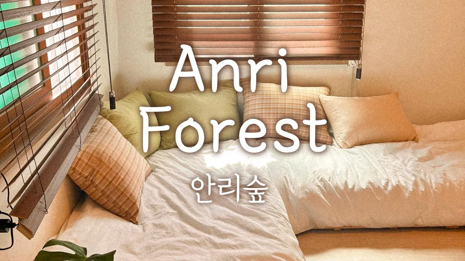 Anri Forest Stay #5People#Rooftop#Laundry